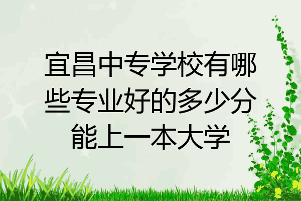 宜昌中专学校有哪些专业好的多少分能上一本大学