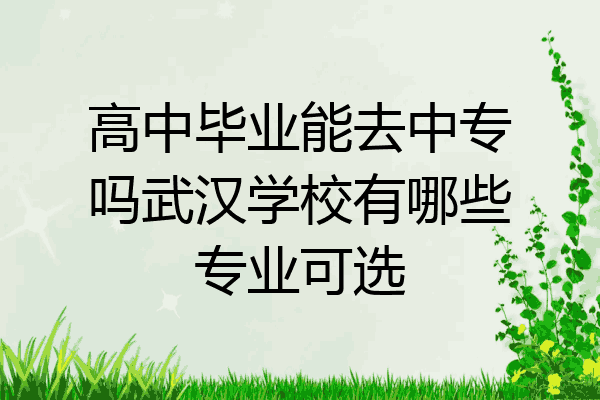 高中毕业能去中专吗武汉学校有哪些专业可选