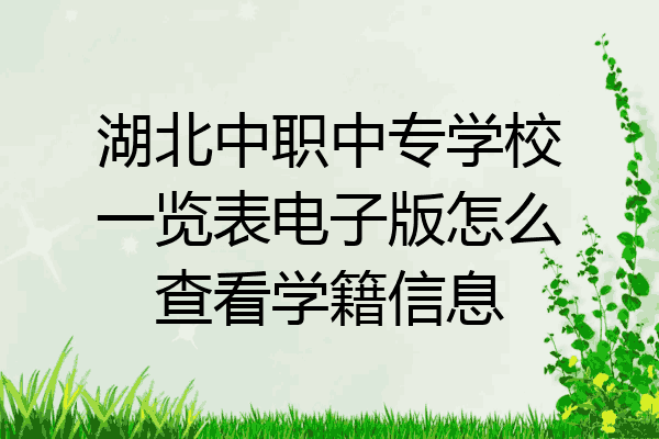 湖北中职中专学校一览表电子版怎么查看学籍信息