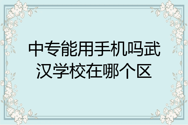 中专能用手机吗武汉学校在哪个区