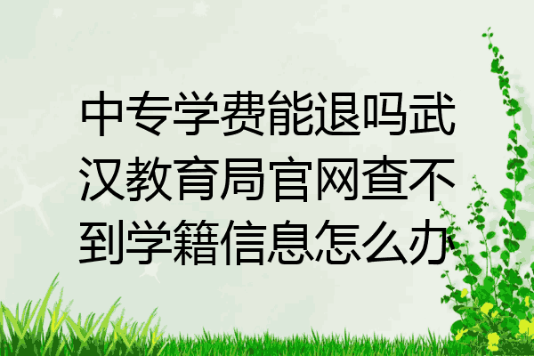 中专学费能退吗武汉教育局官网查不到学籍信息怎么办