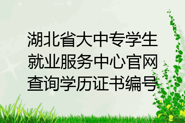 湖北省大中专学生就业服务中心官网查询学历证书编号