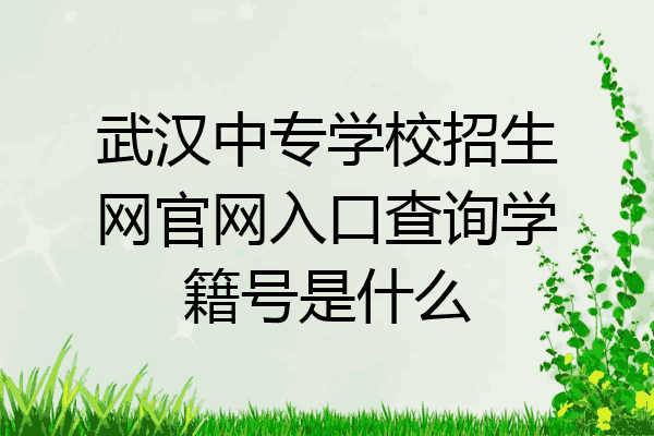 武汉中专学校招生网官网入口查询学籍号是什么