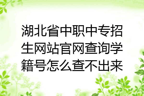 湖北省中职中专招生网站官网查询学籍号怎么查不出来
