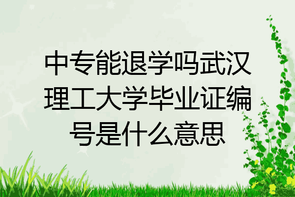 中专能退学吗武汉理工大学毕业证编号是什么意思