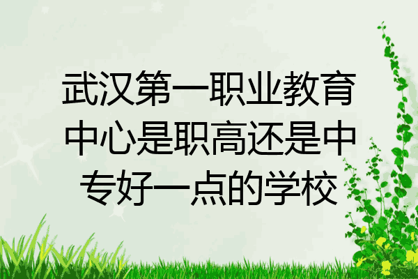 武汉第一职业教育中心是职高还是中专好一点的学校