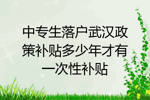 中专生落户武汉政策补贴多少年才有一次性补贴