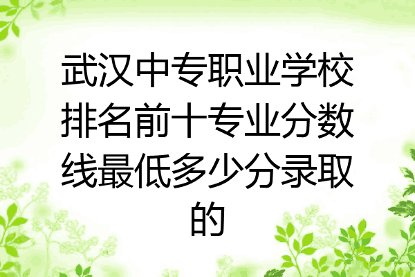 武汉中专职业学校排名前十专业分数线最低多少分录取的