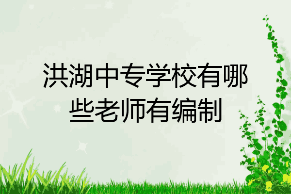 洪湖中专学校有哪些老师有编制