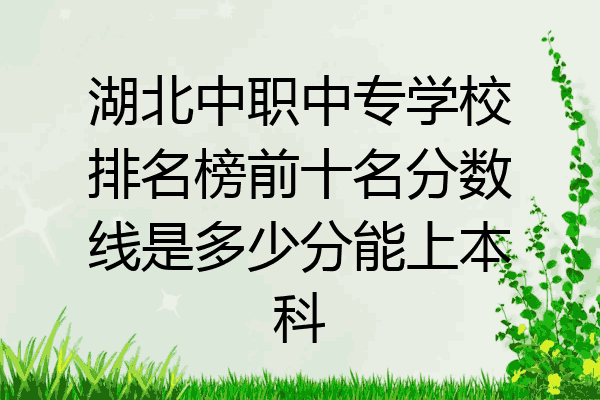 湖北中职中专学校排名榜前十名分数线是多少分能上本科