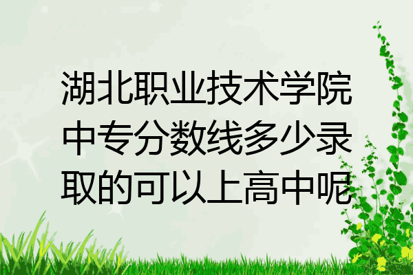 湖北职业技术学院中专分数线多少录取的可以上高中呢