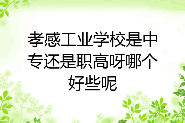 孝感工业学校是中专还是职高呀哪个好些呢