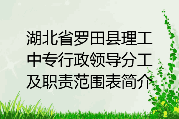 湖北省罗田县理工中专行政领导分工及职责范围表简介