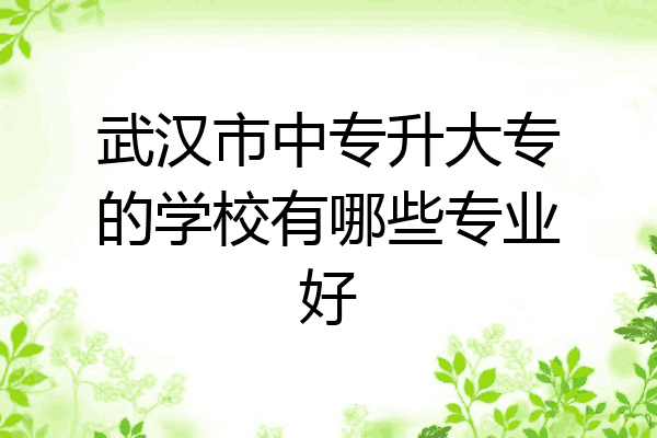 武汉市中专升大专的学校有哪些专业好