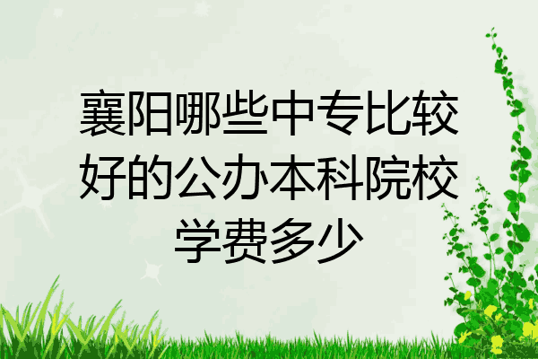 襄阳哪些中专比较好的公办本科院校学费多少
