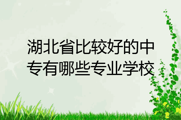 湖北省比较好的中专有哪些专业学校