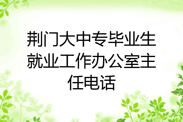 荆门大中专毕业生就业工作办公室主任电话