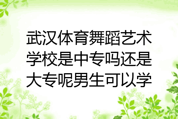 武汉体育舞蹈艺术学校是中专吗还是大专呢男生可以学