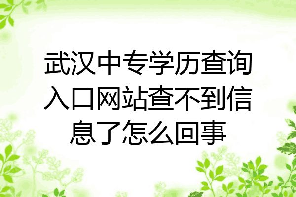 武汉中专学历查询入口网站查不到信息了怎么回事
