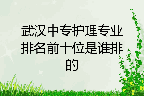 武汉中专护理专业排名前十位是谁排的