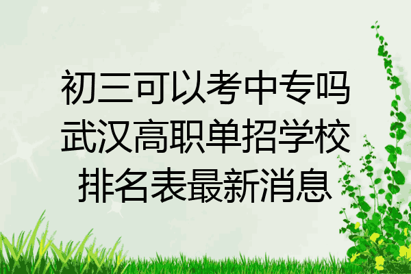 初三可以考中专吗武汉高职单招学校排名表最新消息