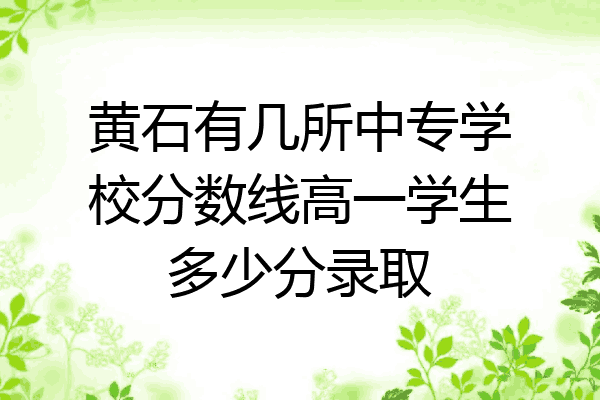 黄石有几所中专学校分数线高一学生多少分录取