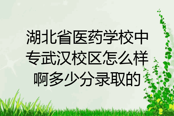 湖北省医药学校中专武汉校区怎么样啊多少分录取的