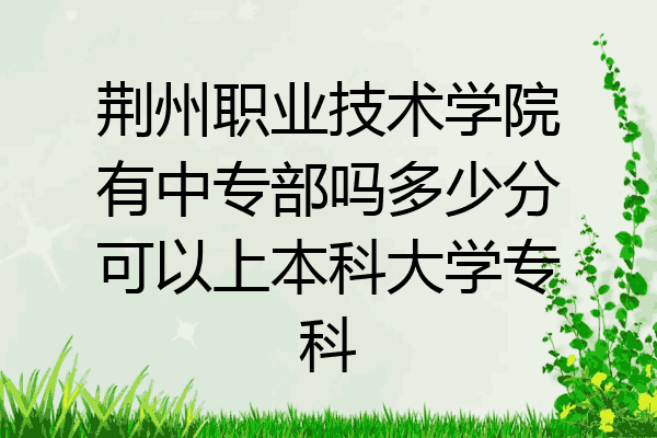荆州职业技术学院有中专部吗多少分可以上本科大学专科