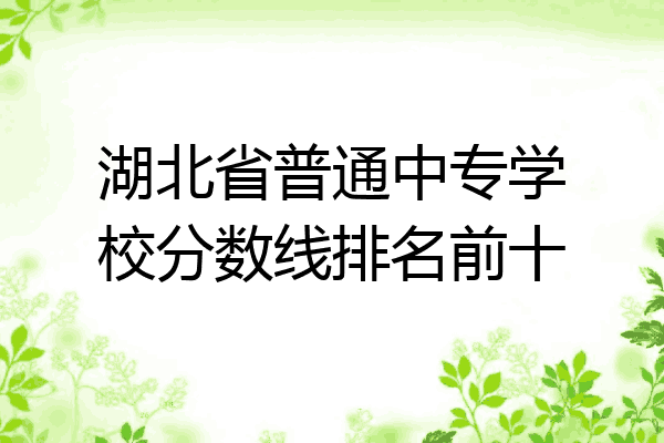 湖北省普通中专学校分数线排名前十
