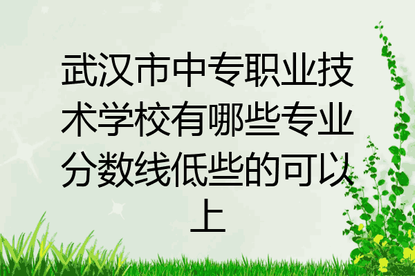 武汉市中专职业技术学校有哪些专业分数线低些的可以上