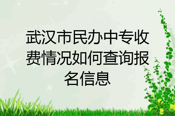 武汉市民办中专收费情况如何查询报名信息