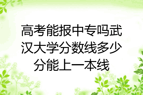 高考能报中专吗武汉大学分数线多少分能上一本线