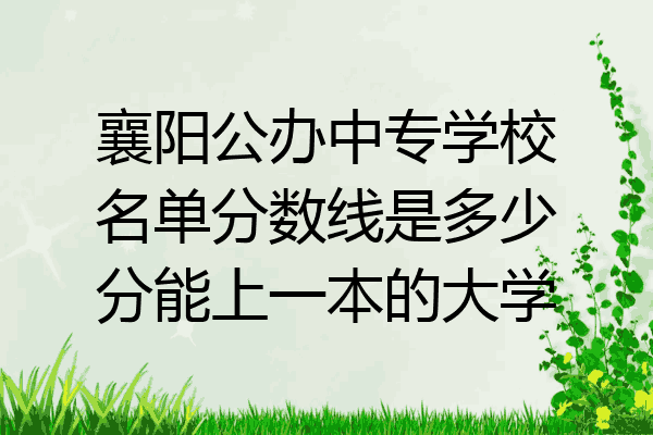 襄阳公办中专学校名单分数线是多少分能上一本的大学