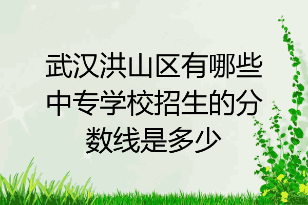 武汉洪山区有哪些中专学校招生的分数线是多少