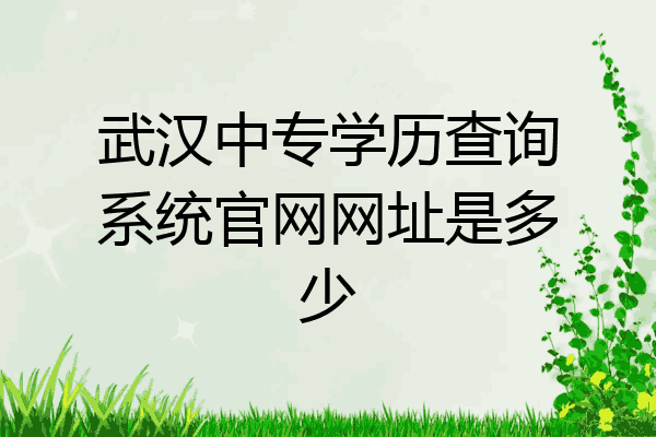 武汉中专学历查询系统官网网址是多少