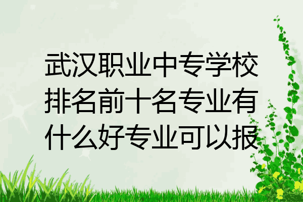 武汉职业中专学校排名前十名专业有什么好专业可以报