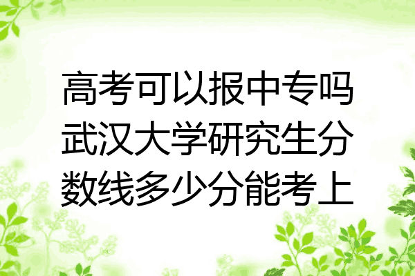 高考可以报中专吗武汉大学研究生分数线多少分能考上