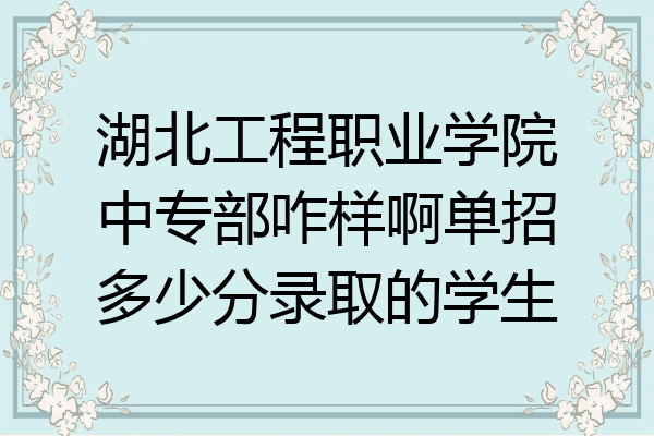 湖北工程职业学院中专部咋样啊单招多少分录取的学生