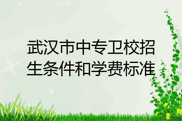 武汉市中专卫校招生条件和学费标准