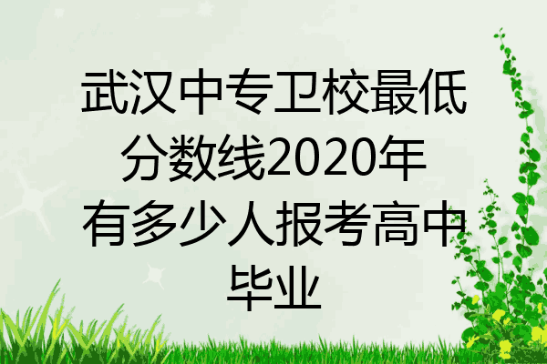 武汉中专卫校最低分数线2020年有多少人报考高中毕业