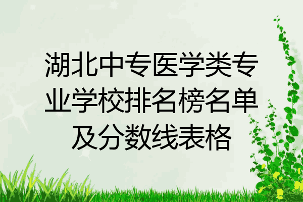 湖北中专医学类专业学校排名榜名单及分数线表格