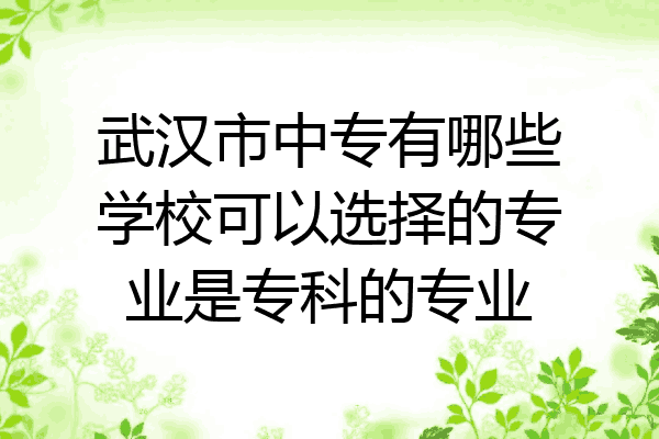 武汉市中专有哪些学校可以选择的专业是专科的专业