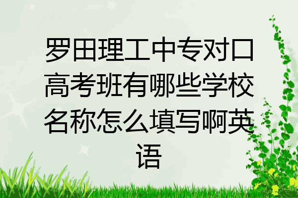 罗田理工中专对口高考班有哪些学校名称怎么填写啊英语