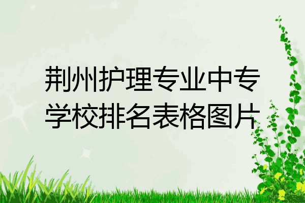 荆州护理专业中专学校排名表格图片