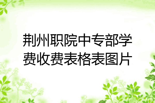 荆州职院中专部学费收费表格表图片