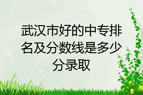 武汉市好的中专排名及分数线是多少分录取