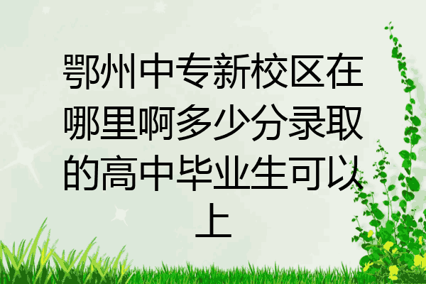 鄂州中专新校区在哪里啊多少分录取的高中毕业生可以上