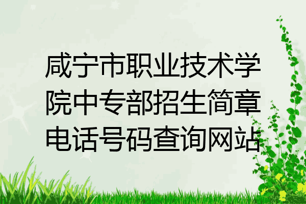 咸宁市职业技术学院中专部招生简章电话号码查询网站