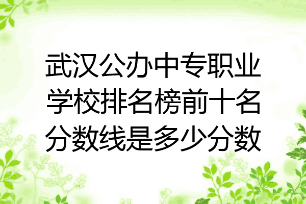 武汉公办中专职业学校排名榜前十名分数线是多少分数