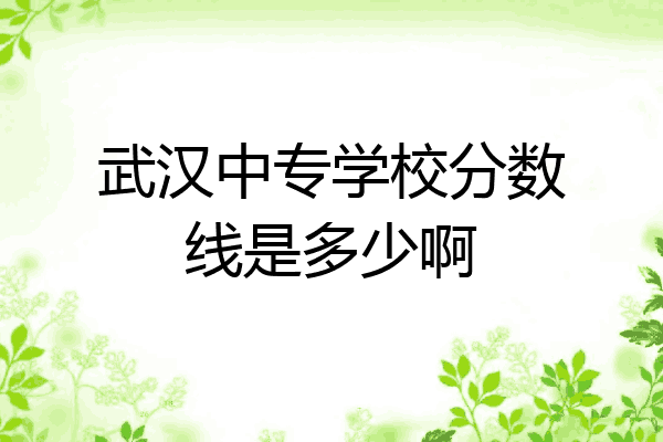 武汉中专学校分数线是多少啊